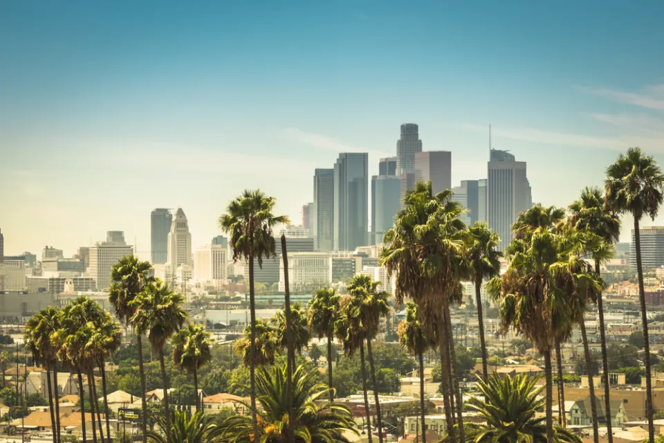 View of Los Angeles skyline on sunny day with palm trees in foreground
